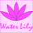 WaterLily